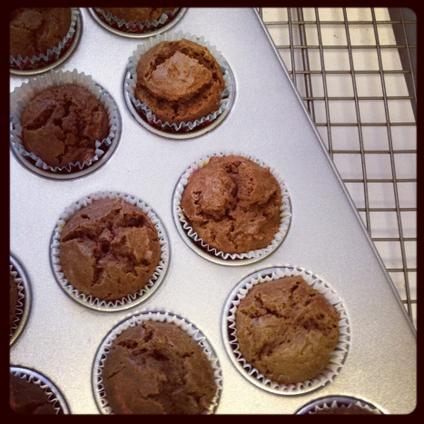 Cupcakes out of the oven Cupcakes out of the oven