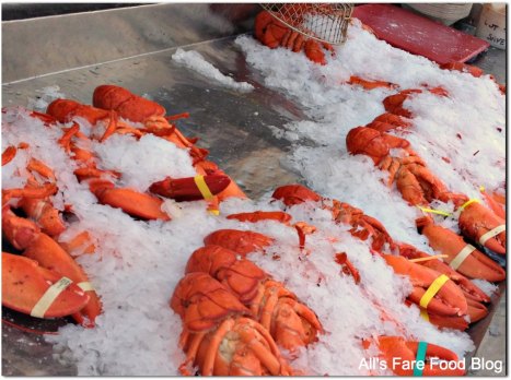 Look who's gonna be lunch in a few minutes?