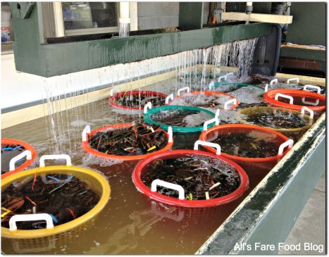 Lobsters taking a swim