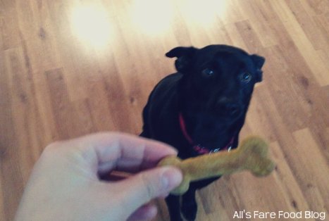 Dakota enjoying pumpkin peanut butter cookies